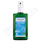 WELEDA alvjov deodorant 100ml