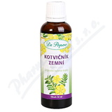 Dr. Popov Kapky bylinn Kotvink zemn 50ml