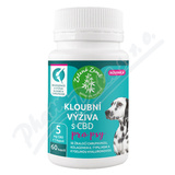 Zelen Zem kloubn viva s CBD pro psy cps. 60